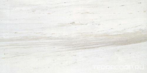 Palissandro lucido XX |30x60