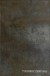 Antares 46T ХХZZ |40x60