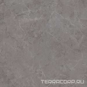 Керамогранит Kerama Marazzi Гран Пале  серый 50.2x50.2 Серый 