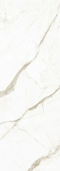Calacatta Oro Venato 5,6 mm  |100x300