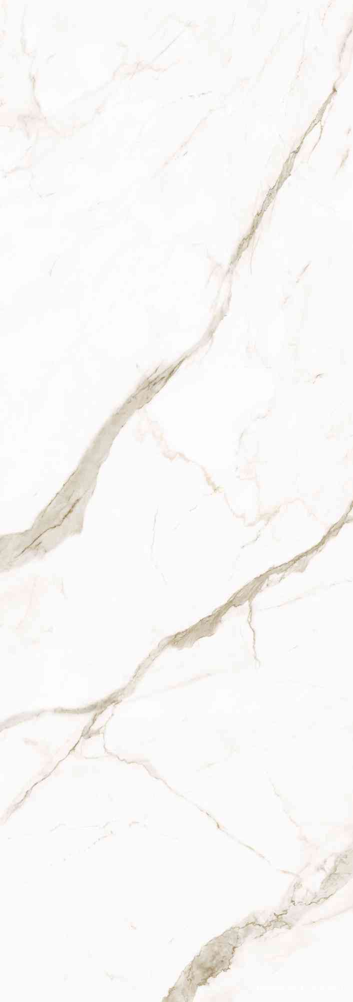 Calacatta Oro Venato 5,6 mm  |100x300