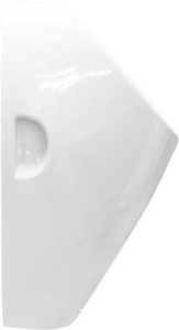 Писсуар  58,3*35,2*32,4 мм, наружный подвод воды, БЕЗ крана, сифона, белый Sanita Luxe Long PS/Long/Mech/WHT.G/S1 (LNGSLUR01)