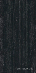 Zebrino Black Lucidato (Shiny) 6 mm XX |150х300