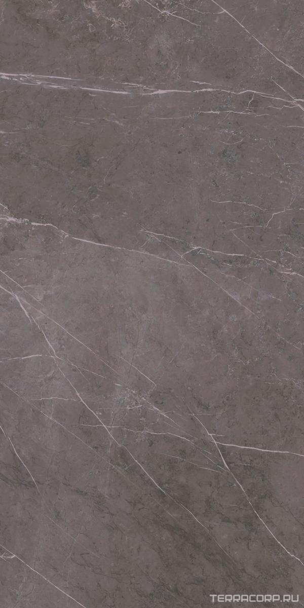 Керамогранит Ariostea Marmi Classici Grey Marble Soft 60х120 Серый, фото 6