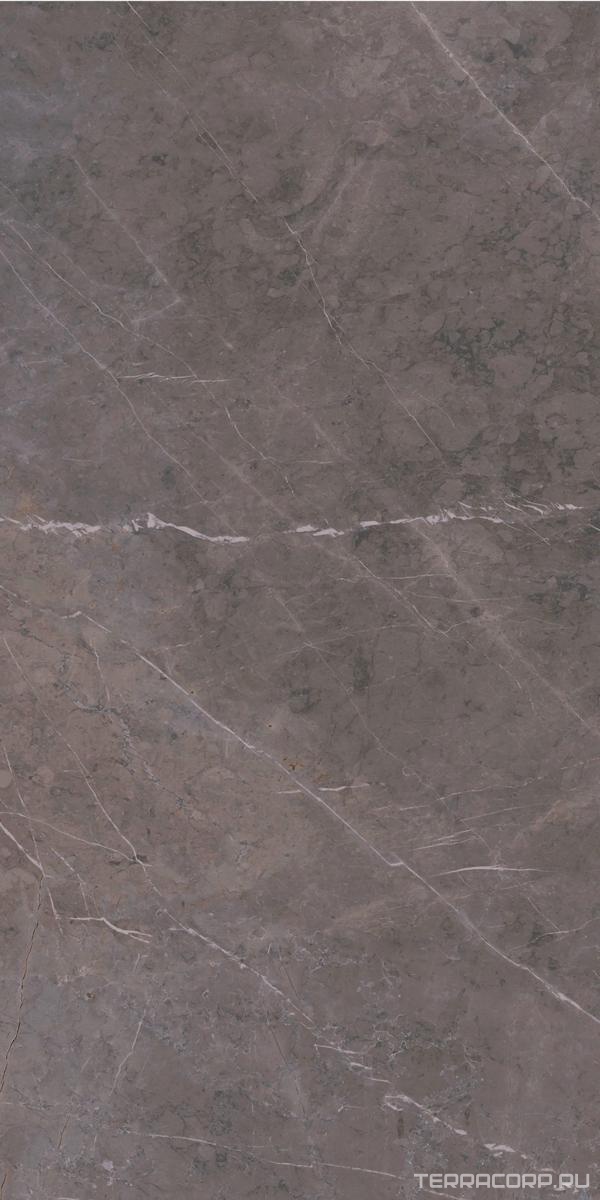 Керамогранит Ariostea Marmi Classici Grey Marble Soft 60х120 Серый, фото 7