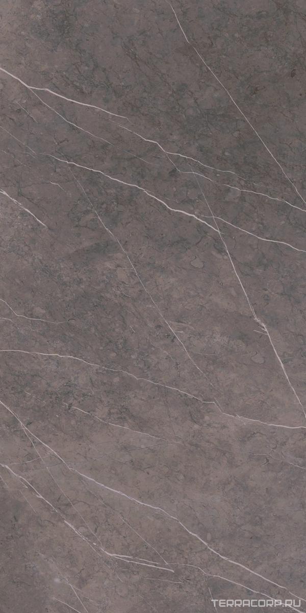 Керамогранит Ariostea Marmi Classici Grey Marble Soft 60х120 Серый, фото 5