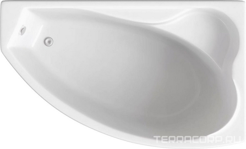 Ванна акриловая  170х102 см, правая (БЕЗ каркаса n039642 и сифона 19649) ZZ Bas Николь В 00028