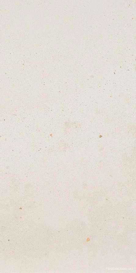 I Cocci  Calce nat/rett  (п,п.) ZZ|60x120
