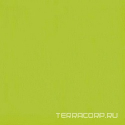 Flexi A Green Bri (п.п.) ZZ |30x30