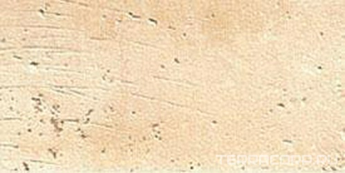 Abbadia (argenteo) XX |15.8x31.7