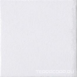 Bianco lappato XX |20x20