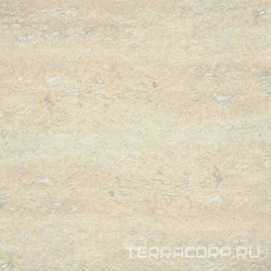 White nat (п.п.) ZZ |60x60