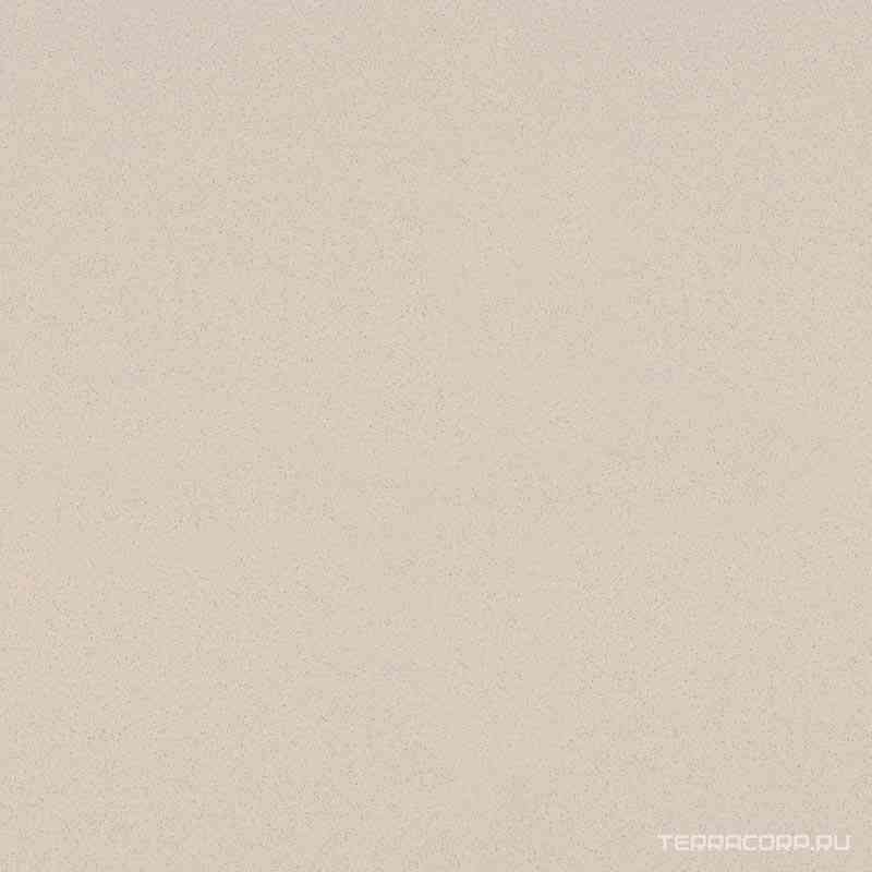 Грес Standard 17 непол.ММ ZZ|60x60