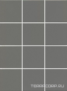 Мозаика Kerama Marazzi Агуста  серый натуральный ( из12 частей 9,8х9,8) 29.8x39.8 Серый 