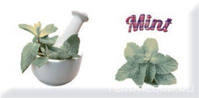 Керамическая плитка Absolut Keramika Monocolor 10x20 Decor Modern Mint 10x20 Комбинированный, фото 3