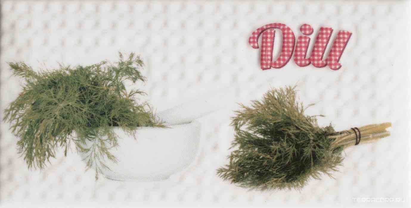 Decor Modern Dill KL |10x20