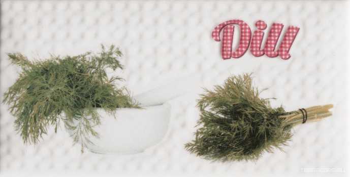Decor Modern Dill KL |10x20