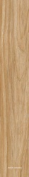 J. Lux Honey KRY XX |20x120