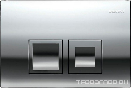Клавиша двойного смыва "50" для инсталляции арт.458.160.00.1, цвет хром Geberit Delta 115.135.21.1
