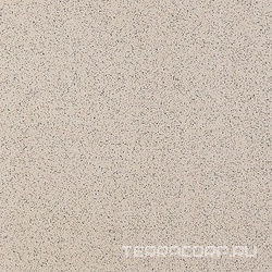 Грес Standard 01 непол. ZZ |60x60