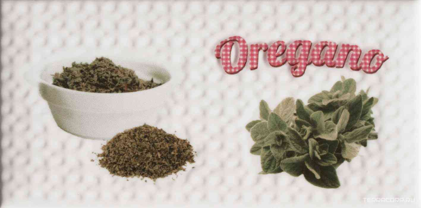 Decor Modern Oregano KL |10x20