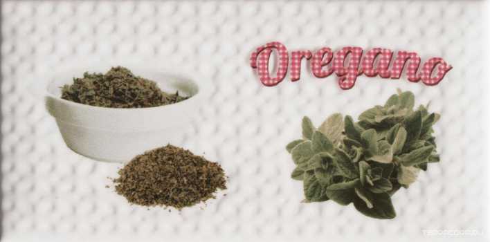 Decor Modern Oregano KL |10x20
