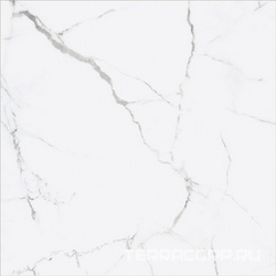 Iceberg Blanco ZZ |75x75