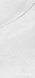 Керамогранит La Faenza Trex3 TREX6 260W LP 120x260 XX Серый 