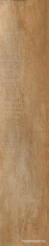 Керамогранит Sadon GreenWood Noce24x120 Коричневый, фото 3