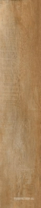 Керамогранит Sadon GreenWood  Noce24x120 Коричневый 