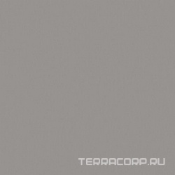 Flexi A Grey Mat (п.п.) ZZ |30x30