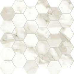 Class Venato Gold XX | 30x30