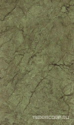 Rotterdam green wall 02 XX|30x50