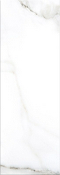 Calacatta Light |24.2x70