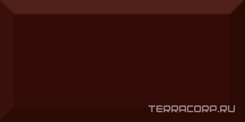 Monocolor Marron Biselado Brillo ZZ 10x20