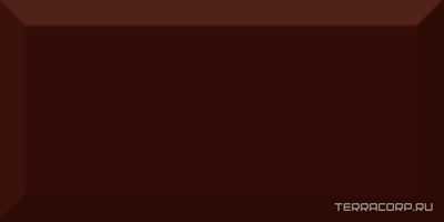 Monocolor Marron Biselado Brillo ZZ 10x20