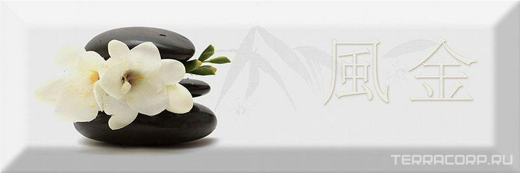 Decor Japan Tea 04 B ZZ |10x30