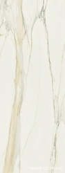 Calacatta Gold Matte XX 80x240