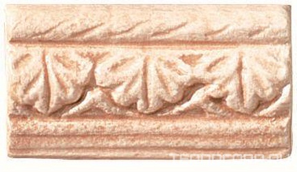 Listello Olimpo Rosa XX |5x10