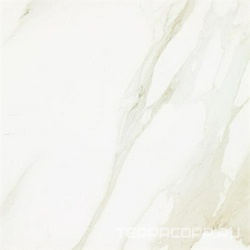Evolutionmarble Calacatta XX 60x60