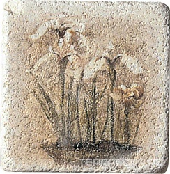 Inserto Travertino S/3 XX |10x10