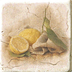 Керамогранит CIR Marble Style Inserto Tradition s/3 10x10 Комбинированный 