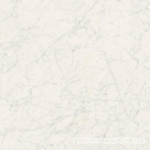 Керамогранит Fioranese Marmorea Bianco Gioia Lev Rett (п.п) 74x74 Белый 
