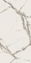 Calacatta Statuario D Lap ХХ |160x320