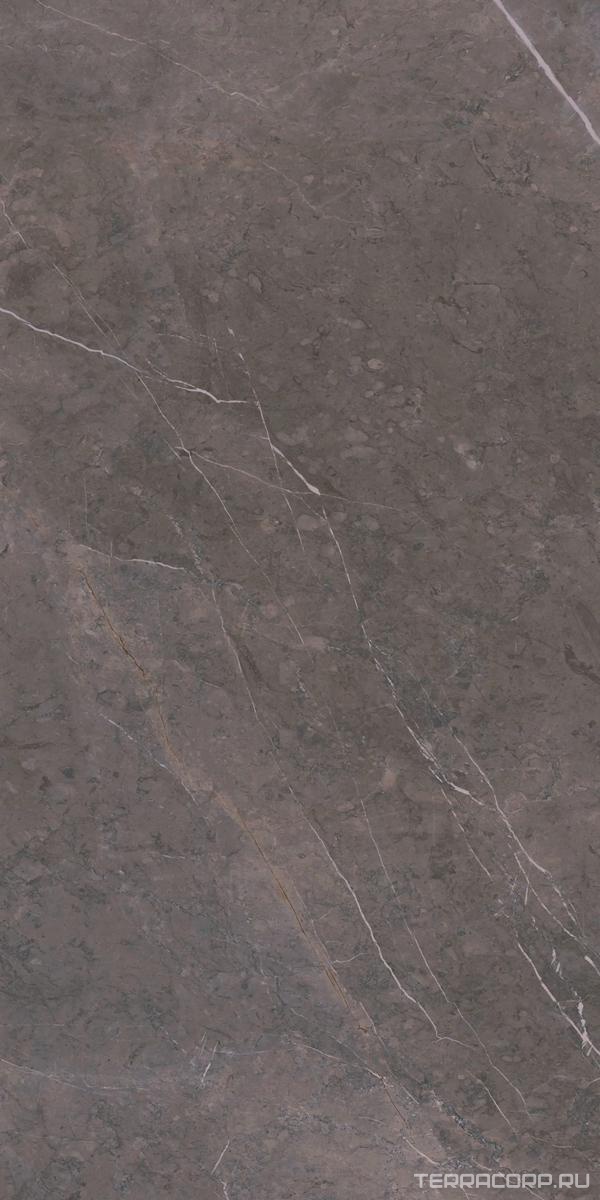 Керамогранит Ariostea Marmi Classici Grey Marble Luc 60х120 Серый, фото 3