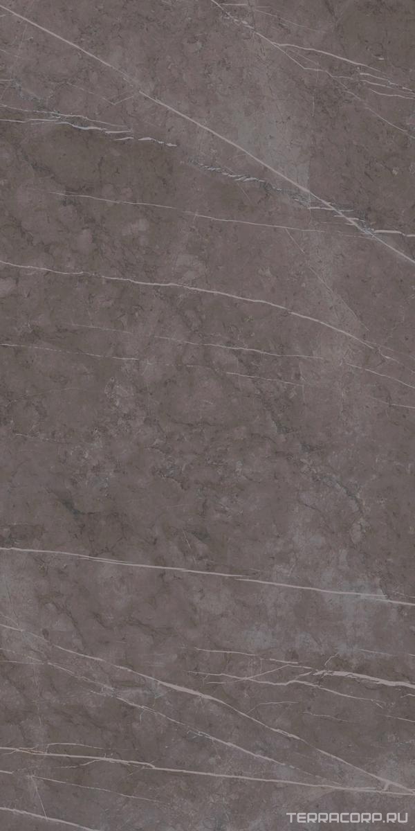 Керамогранит Ariostea Marmi Classici Grey Marble Luc 60х120 Серый, фото 7