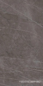 Керамогранит Ariostea Marmi Classici Grey Marble Luc 60х120 Серый 
