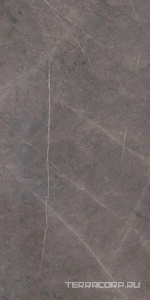 Керамогранит Ariostea Marmi Classici Grey Marble Luc 60х120 Серый 
