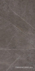 Керамогранит Ariostea Marmi Classici Grey Marble Luc 60х120 Серый 