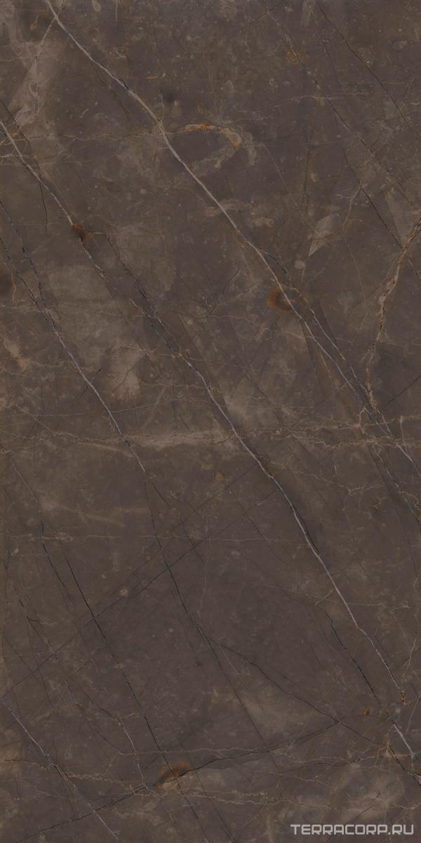 Керамогранит Ariostea Marmi Classici Pulpis Grey Luc60x120 Серый, фото 3